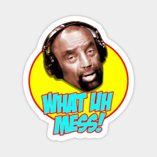 What a Mess - YMH - Jesse Lee Peterson Magnet