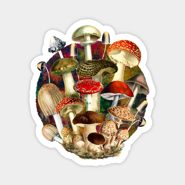 Mushroom night forest, mushroom art, mycology, multicoloured cottage core aesthetic design over a Magnet by Zeinab taha