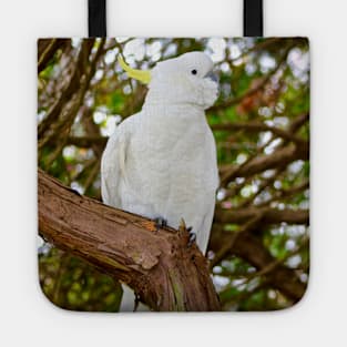 Cockatoo Posing Tote