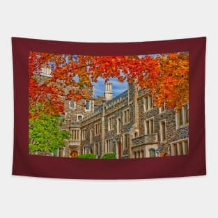 Princeton University Tapestry