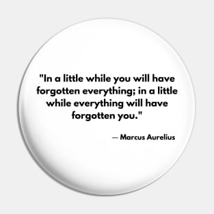 “In a little while you will have forgotten everything; in a little while everything will have forgotten you.” Marcus Aurelius, Meditations Pin