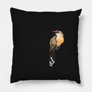 Sirkeer Malkoha Pillow