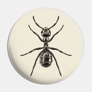 Drawing of an ant Pin