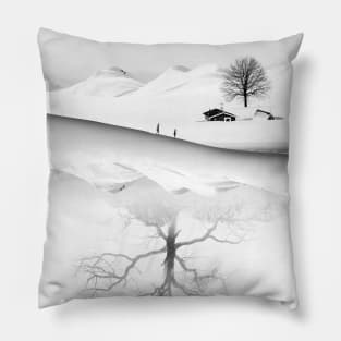 Know Your Roots Pillow