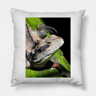 Eastern Water Dragon Pillow