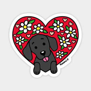 Black Labrador and Floral Heart Magnet