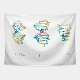 A-,B-, and Z-DNA Tapestry