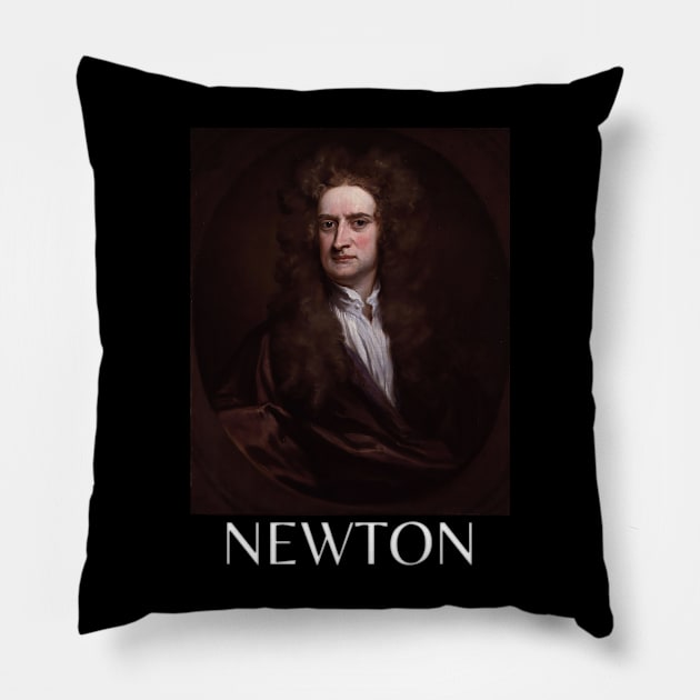 isaac newton Pillow by lukelux