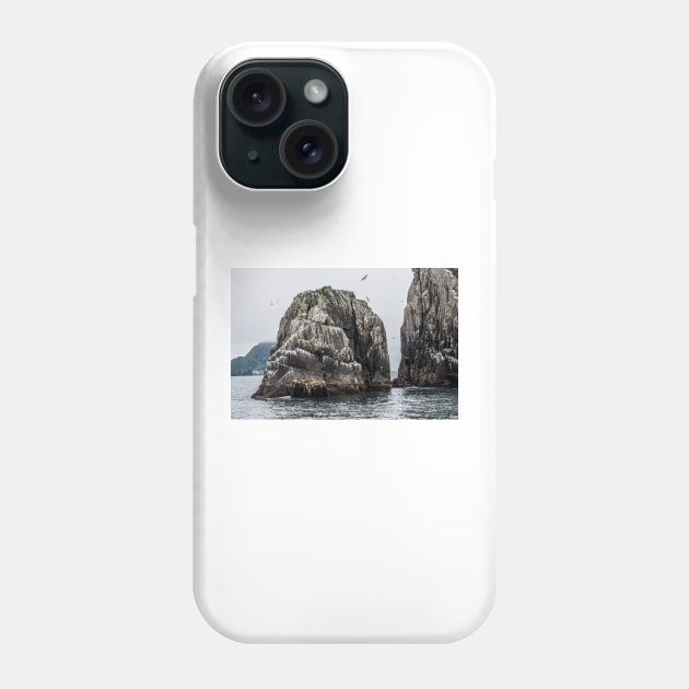 Sea Lions Island Rest Phone Case by andykazie