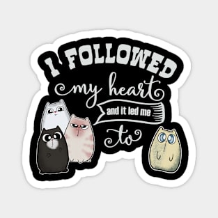 Followed my Heart lead me to Cute Cat Magnet