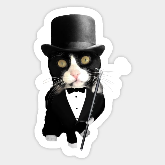 Humorous picture of a tuxedo cat