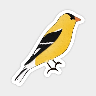 American Goldfinch Magnet