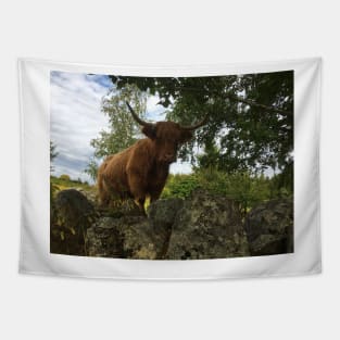 Scottish Highland Cattle Cow 2070 Tapestry