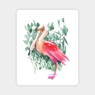 roseate spoonbill Magnet