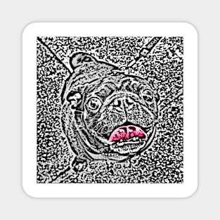 Pugster #2 in Black & White Magnet