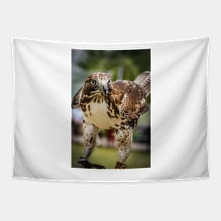 Hawk Profile Tapestry