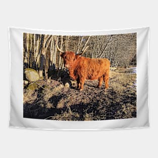 Scottish Highland Cattle Cow 2293 Tapestry