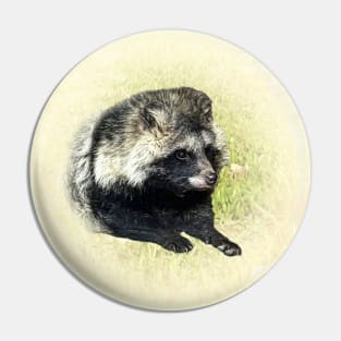 Raccoon dog Pin