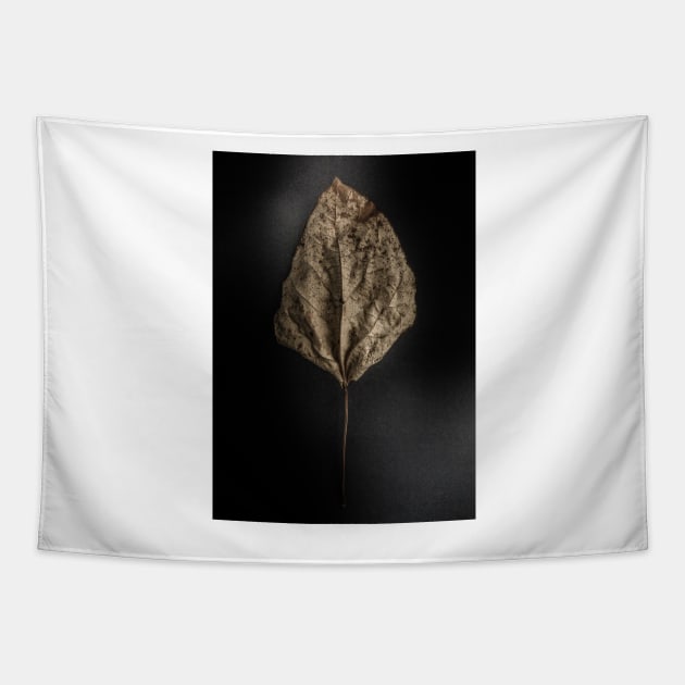 Leaves No 11 Color Version Tapestry by learningcurveca