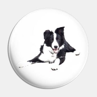 Border Collie on a white background Pin