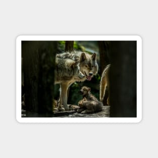 Wolf Family Magnet