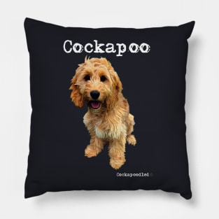 Golden Apricot Cockapoo / Spoodle and Doodle Dog Pillow