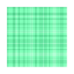 Mint Tartan Plaid T-Shirt