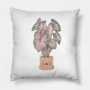 Cute Plant Illustration, Caladium Pink Beauty Pillow