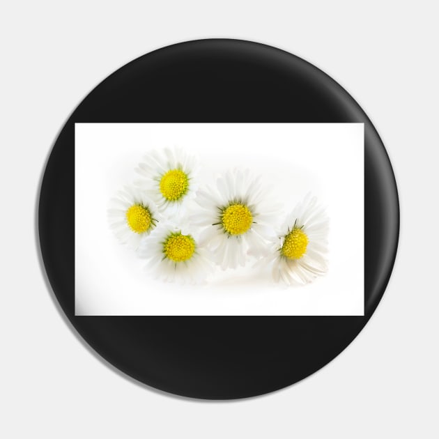 Blooming Daisies Pin by mariola5