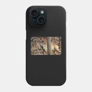 Roe buck in the forest Phone Case