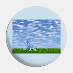 I dreamed I became the sky Pin