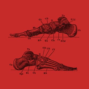 Skeletal Foot Diagram - Dual View - Anatomy T-Shirt