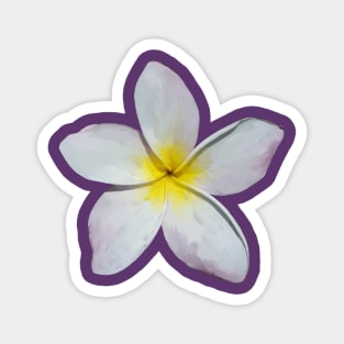 Plumeria Blossom Magnet