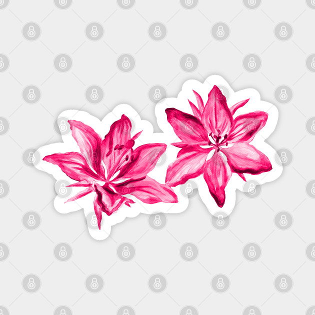 Pink Painted Watercolor Lilies Floral Pink Lily Flowers Magnet