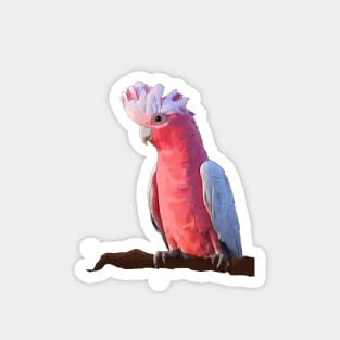 Silly Galah Magnet