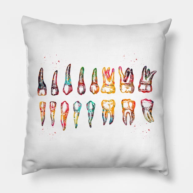 Teeth Diagram Pillow by erzebeth