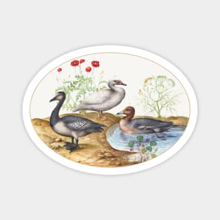 Geese with Poppies (1575–1580) Magnet