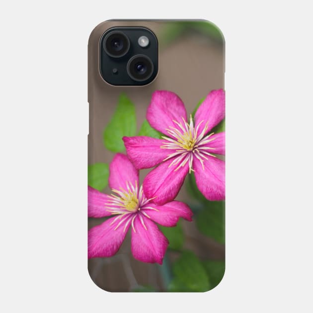 Pink clematis Phone Case by MistyLakeArt