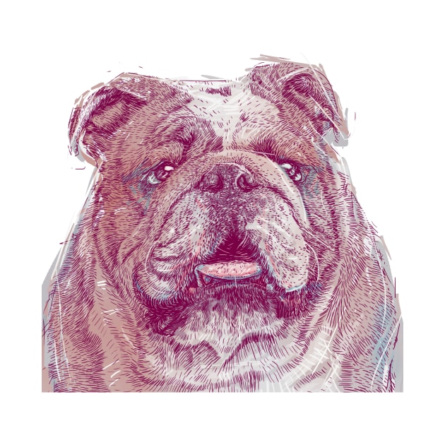 Bulldog by AhmadMujib