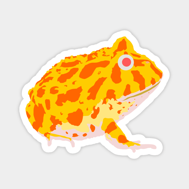 Albino Pacman frog Magnet by stargatedalek