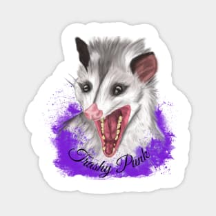 Trashy Punk Possum Design Magnet