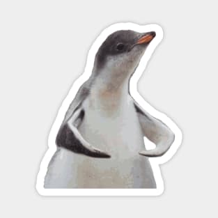 Strong Baby Penguin meme Magnet