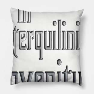 In Sterquiliniis Invenitur Pillow