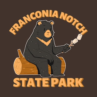 Franconia Notch State Park Camping Bear T-Shirt