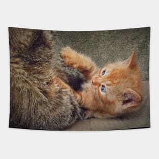 Playful orange kitten Tapestry