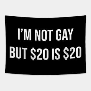 i’m not gay but $20 is $20 Tapestry