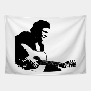 johnny cash guitar Tapestry