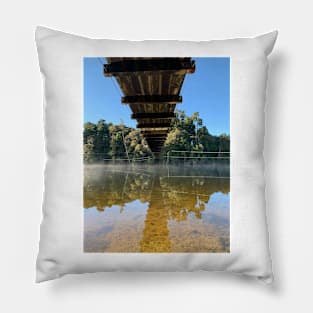 Reflection Pillow