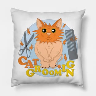 Get Your Cat Fixed Pillow