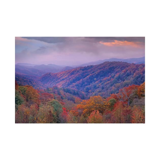 Autumn Deciduous Forest Great Smoky Mountains National Park by AinisticGina